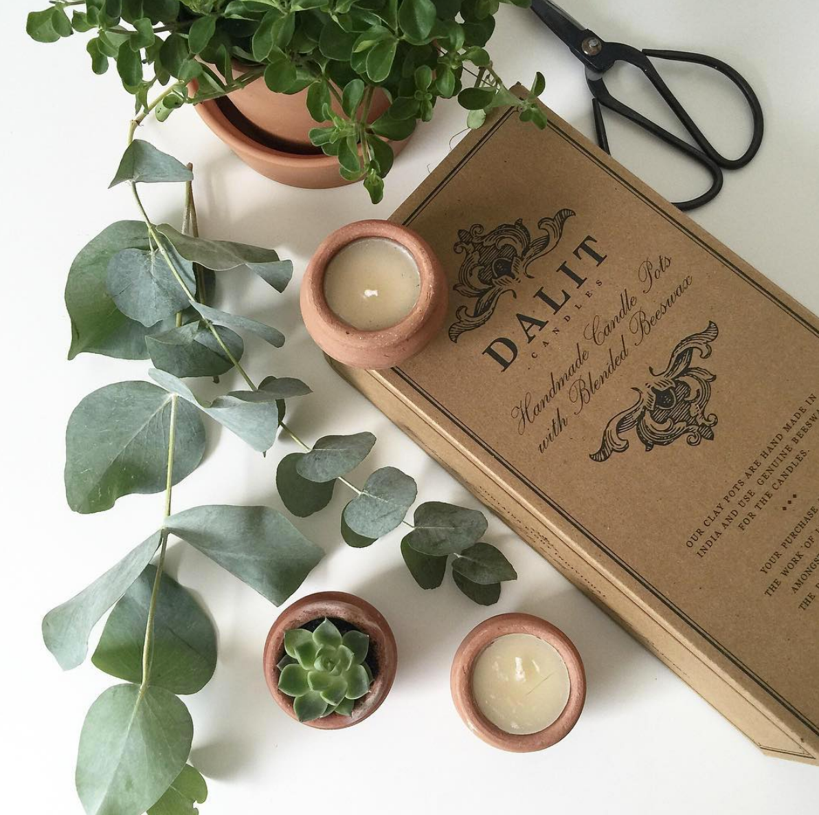 Handmade Terracotta Beeswax Tea Light Candles - Box of 10